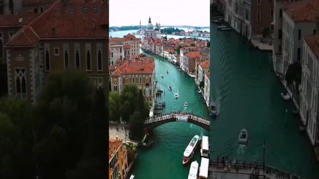 Выкапывают останки