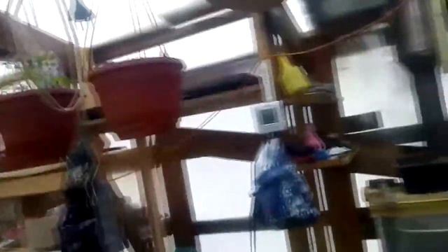 Пришла посылка с цветами. Пересадка цветов Обзор наших петуний. ВЛОГ #11 смотреть онлайн