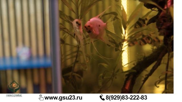 Делаем крутой дизайн стены дешево! смотреть онлайн