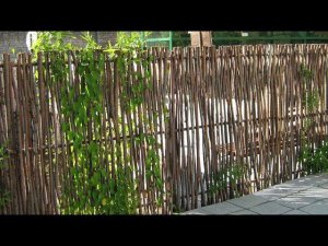 54 идеи как сделать Плетеный забор