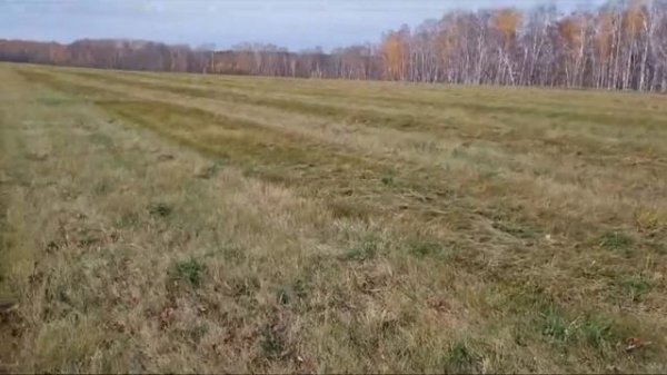 Улучшение сенокосов пастбищ луговые сеялки Vredo травяные сеялки