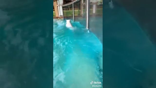 Как надо качаться смотреть онлайн