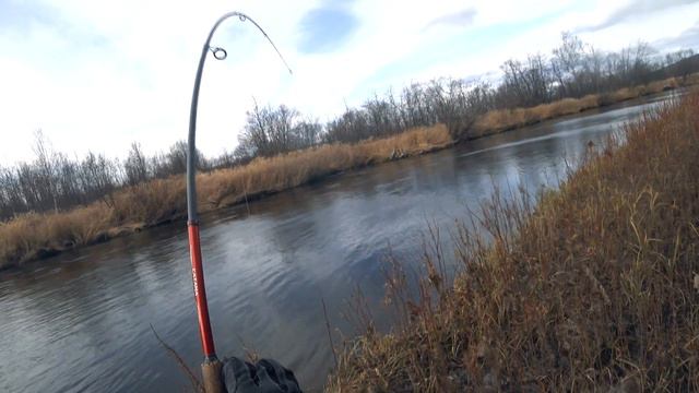 Таймень (осень 2020) смотреть онлайн