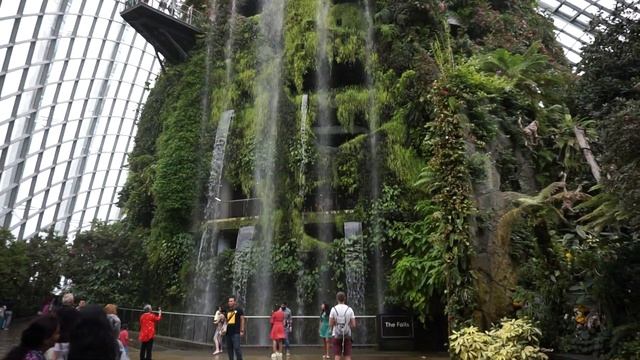 Сингапур. Сады у Залива (Gardens by the Bay). Оранжерея «Облачный лес» (Cloud Forest). смотреть онлайн