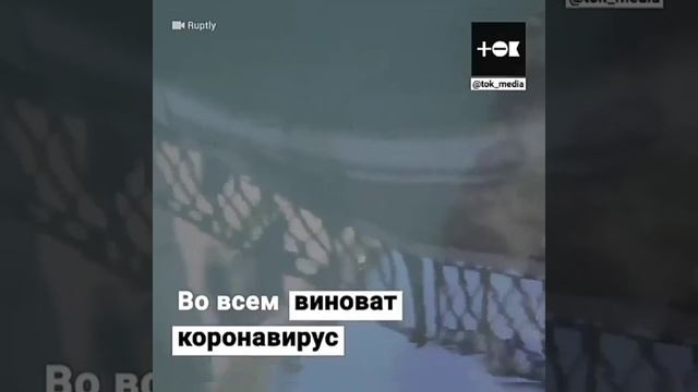 Коронавирус помог отдыхать природе от загрязнений смотреть онлайн