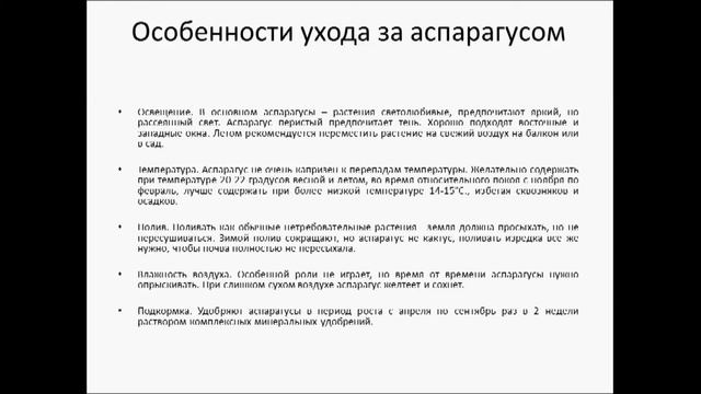 Аспарагус виды, уход и разведение смотреть онлайн