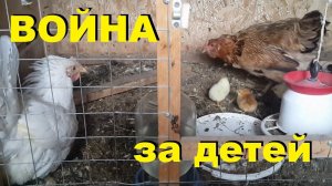 Подкидыши - 6. Война за детей