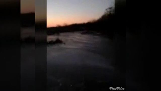 Бобр не добр смотреть онлайн