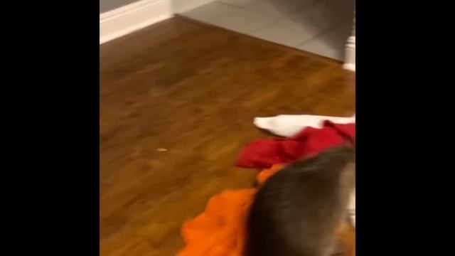 Meet the luckiest nutria rat in all of Louisiana смотреть онлайн
