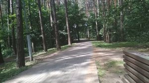 Трактор со щеткой в лесу дал пыли. Уборка дорожек на тракторе Беларусь.