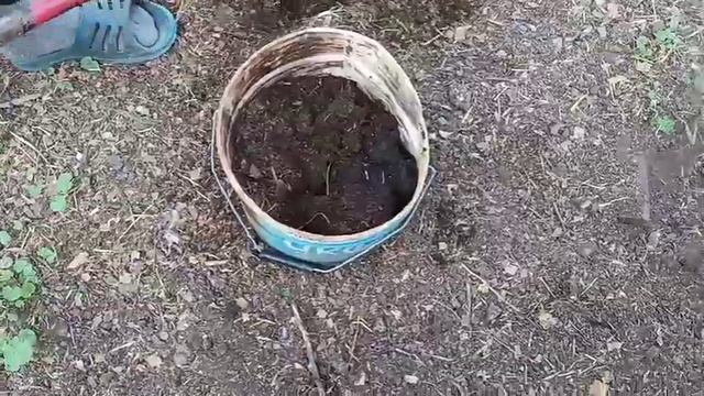 ВАРИАНТ ЧЕРВЯТНИКА для БИОГУМУСА! смотреть онлайн