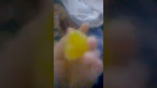 Что делать если лизун попал на кота? смотреть онлайн