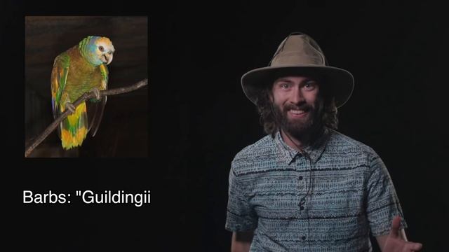 Geography Now! ST. VINCENT AND THE GRENADINES смотреть онлайн