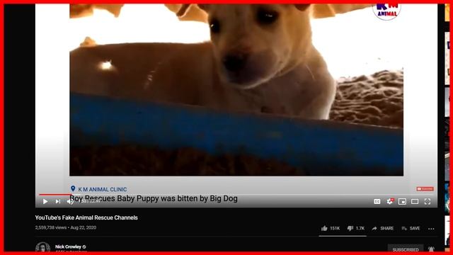 go check out nick Crowleys channel exposing youtubers exploiting animals смотреть онлайн