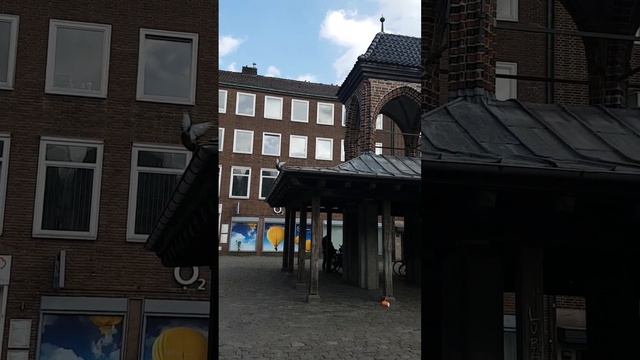 Рыночная площадь #любек #германия #shorts смотреть онлайн