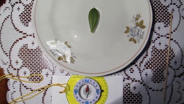 Как не заблудиться с иглой "в кармане". смотреть онлайн