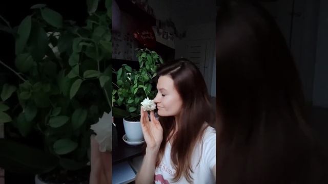 САМЫЙ ВАЖНЫЙ НАВЫК В СЕМЬЕ! #психология #психологияотношений #семья #дети #любовь #психотерапия смотреть онлайн