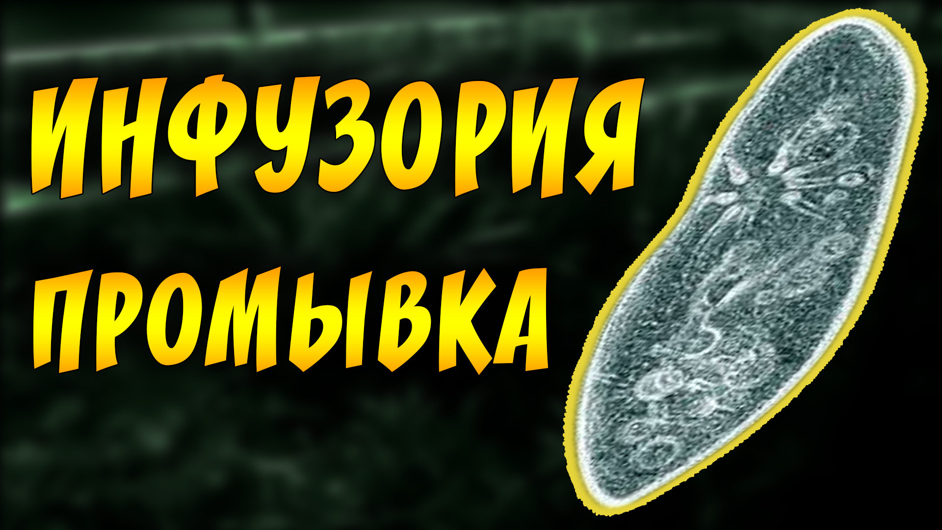 Как промыть очистить инфузорию от грязной воды для кормления мальков! смотреть онлайн