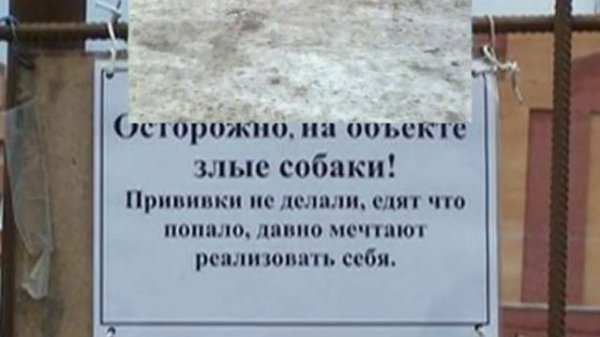 Вам здесь не тут