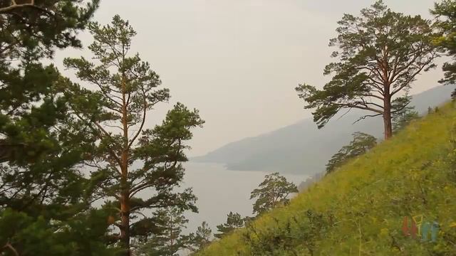 Морской уют