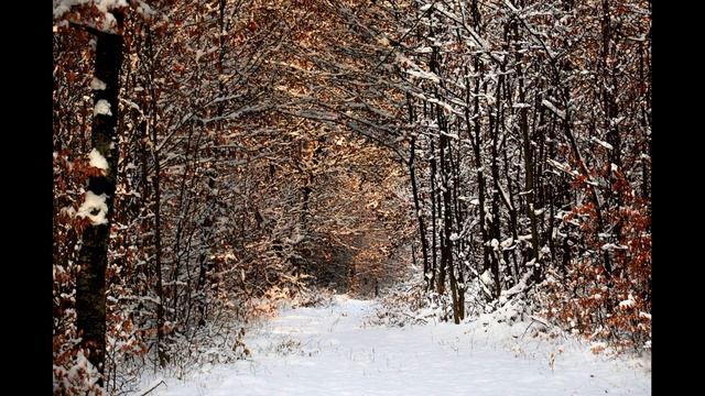 Narva-Jõesuu History (Estonia) смотреть онлайн