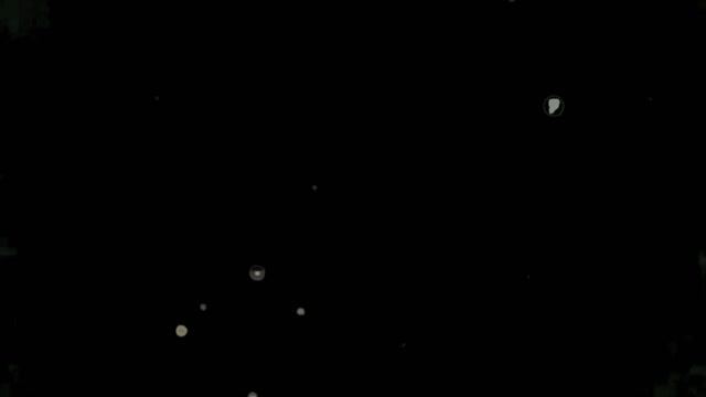 Подборка новых мемов со Смешариками: смотреть онлайн