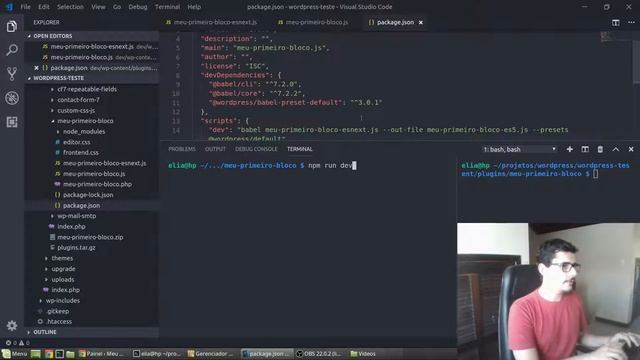 NPM (Parte 2), Babel e o preset do WordPress смотреть онлайн