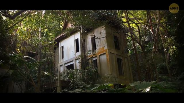 Большая белая акула в пустом здании: как она туда попала?! смотреть онлайн