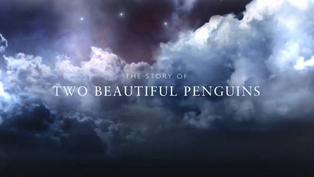 Penguin Love: A Forbidden Romance (episode 1) смотреть онлайн