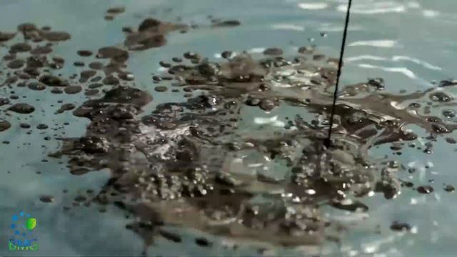 The Oil Spill Solution - BioMicroGel. Средство для ликвидации аварийных разливов нефти.