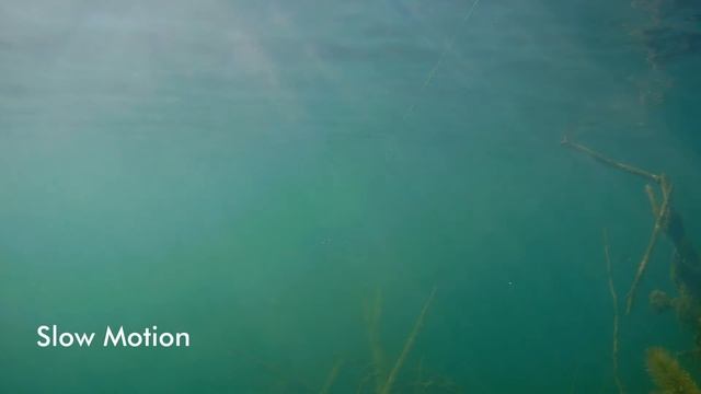 Pontoon21 Tantalisa 85 JSP SR - Underwater (Lure Action)