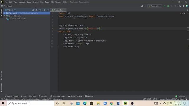 Face Mesh | Python смотреть онлайн