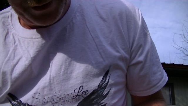 Ayam Cemani chick inspection. What you should know when checking their quality!. смотреть онлайн