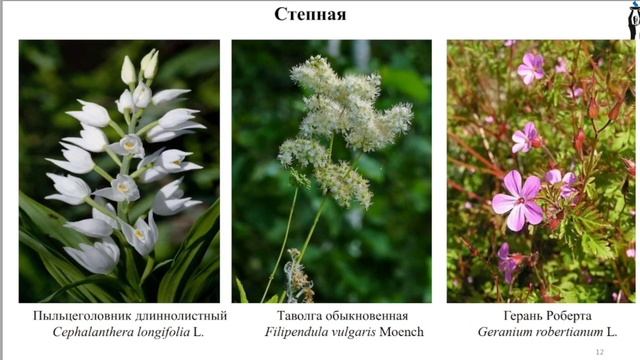 Флора и заповедные зоны республики Башкортостан смотреть онлайн