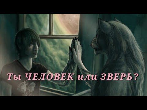 Что такое ЧЕЛОВЕЧНОСТЬ смотреть онлайн