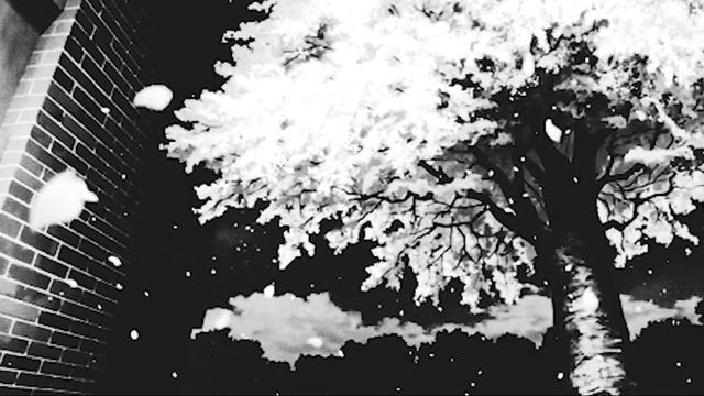 АниЛорак- Медленно {Slowed&Reverb}