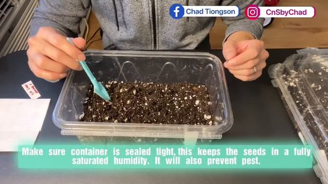 How to Germinate Haworthia & Gasteria Seeds. смотреть онлайн