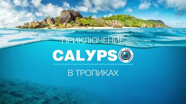 Calypso на Сейшелах