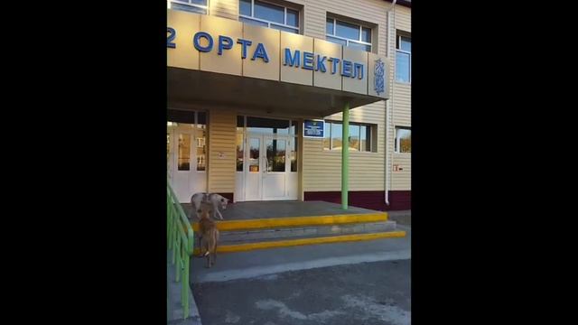 Видео поздравление ко Дню учителя от учеников 11 класса смотреть онлайн