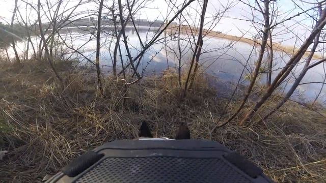 GOPRO7, BASENJI, БАСЕНДЖИ, ТАТЫШЕВ, КРАСНОЯРСК смотреть онлайн