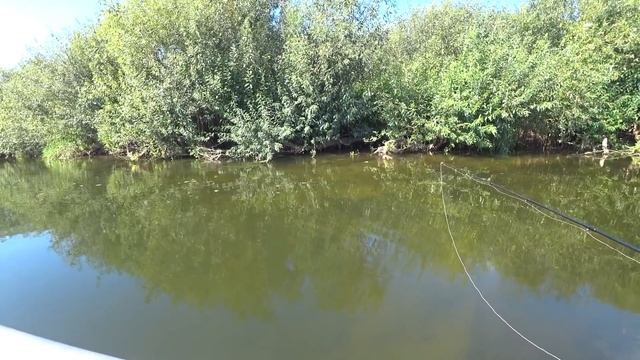 ПОИСКИ ЩУКИ. ЛОВЛЯ ЩУКИ НА СПИННИНГ. РЫБАЛКА НА ЩУКУ смотреть онлайн