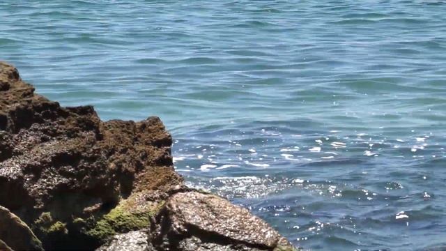 VLOG Весь день в море смотреть онлайн