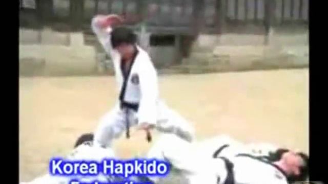 Amazing Korean Hapkido - Haemukwan.com
