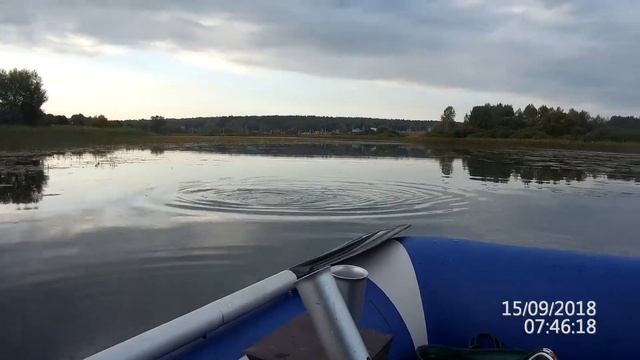 Ловим на спиннинг Norstream Rebel 662M RBS 662M  Упирался  в Strike Pro Inquisitor 80SP