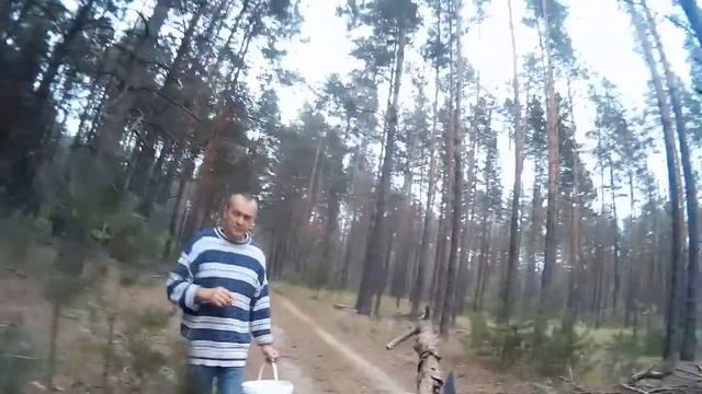 В ЛЕС ЗА БЕЛЫМИ ГРИБАМИ смотреть онлайн