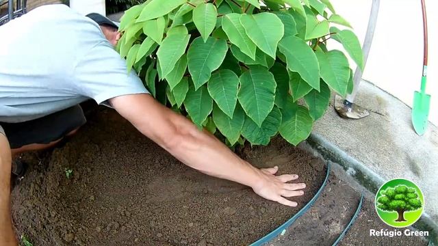 ? DIY - DECORAÇÃO DE JARDIM 16 / JARDIM EXÓTICO COM PEDRAS смотреть онлайн