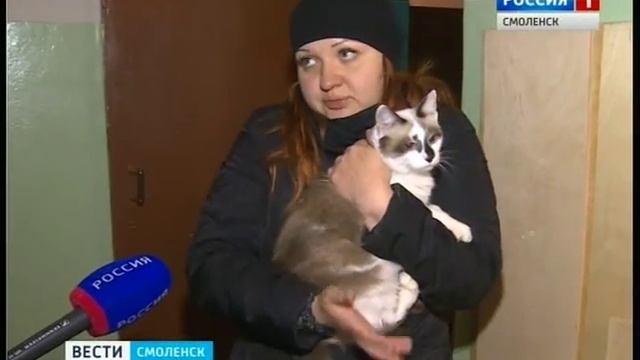 Причиной пожара смоленского общежития жильцы считают неисправную проводку смотреть онлайн