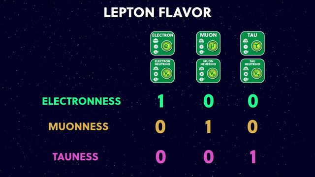 The Map Of Particle Physics | The Standard Model Explained