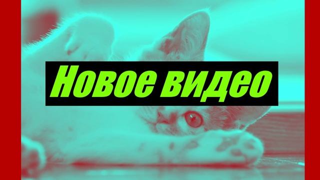 Новое видео