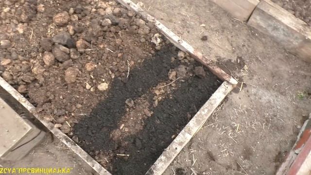 Первые посевы в теплицу/ Деревня/Огород/Лаванда/Сад/ #thefirstcropsinthegreenhouse смотреть онлайн